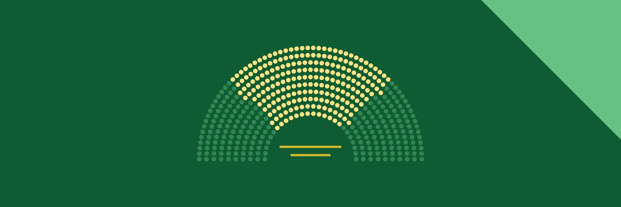 Як впливати на парламент: навчальний інтенсив «Парламентська адвокація в дії»